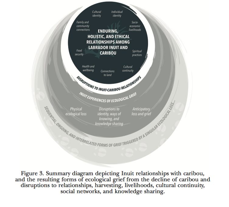 Screen Shot 2021-03-05 at 8.10.12 PM.png