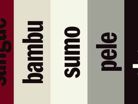 susu 10