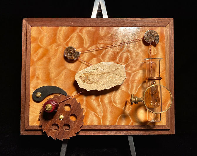 Amber Lifter 1 (revised).jpeg