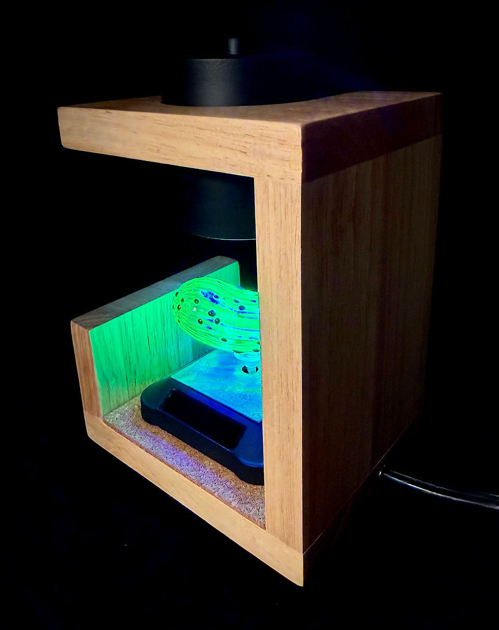 Thumbnail: Glowing Pickle Nightlight