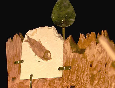 Fossil Fish Whirligig