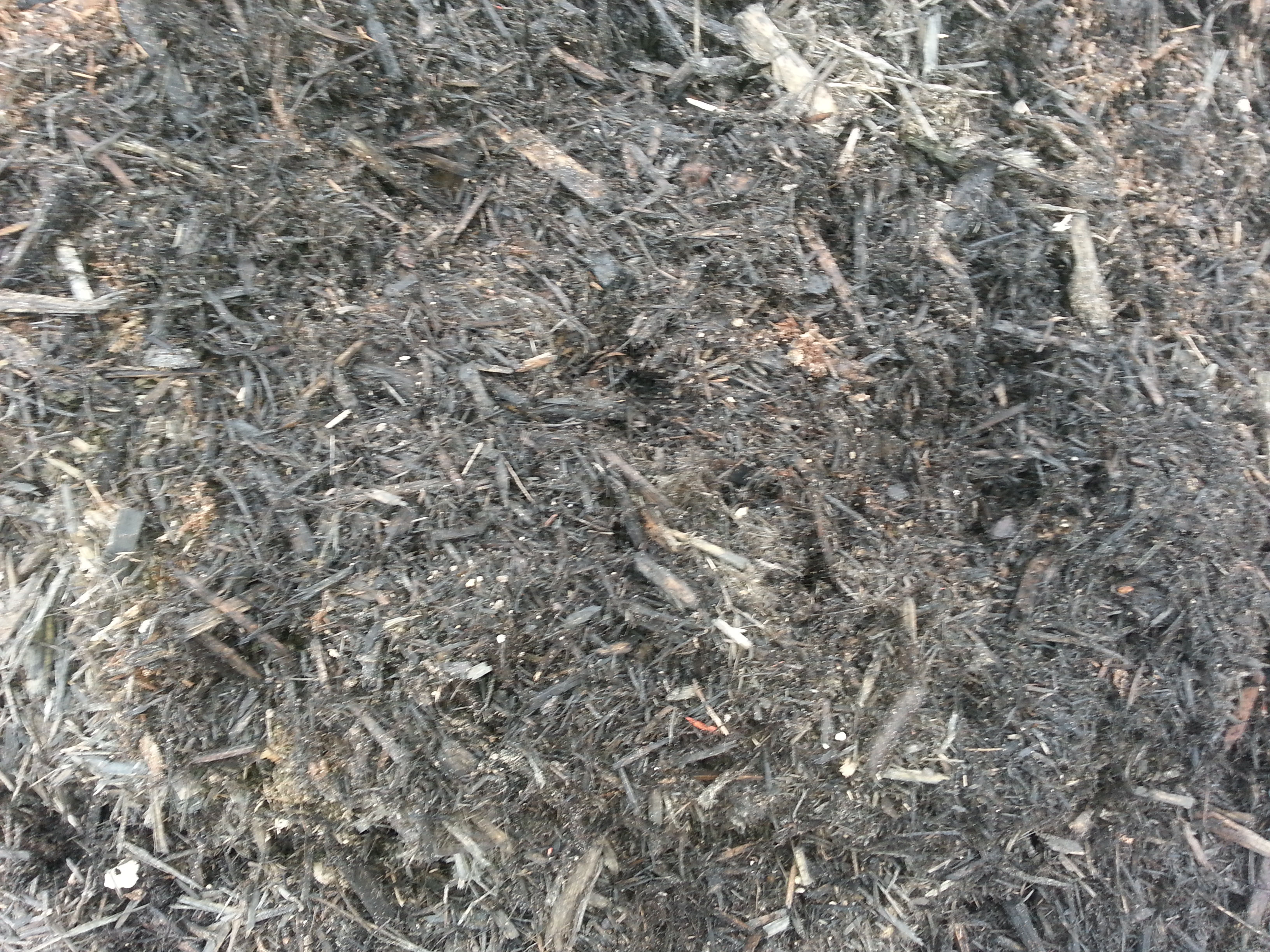 Black Mulch