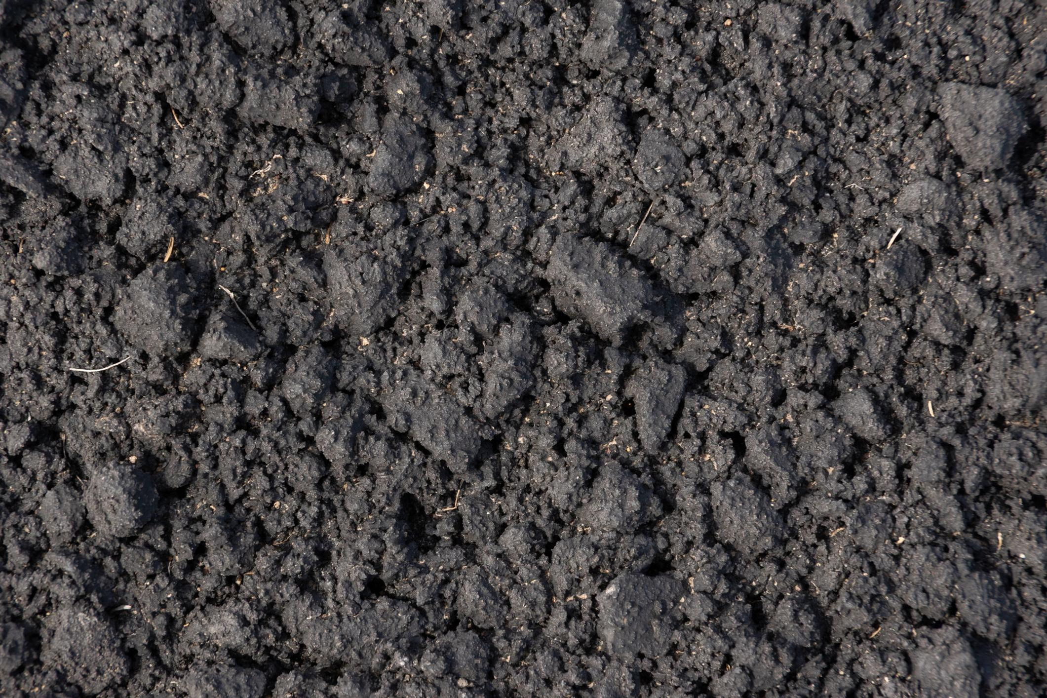 Rich Top Soil