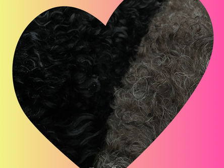 Hailey hat sich verlobt 🥰