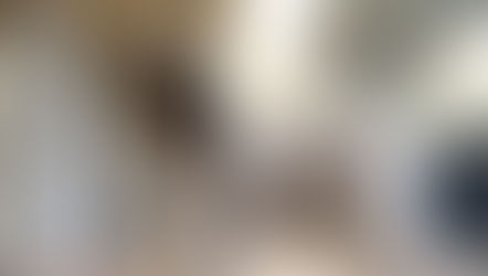 ✨🇩🇪Internationale Dog Show Karlsruhe 2025🇩🇪✨