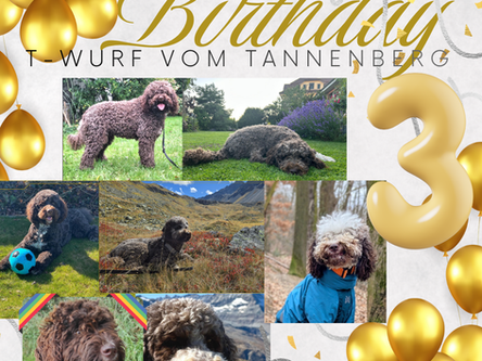 🥳Happy Birthday unsere T's vom Tannenberg🥳