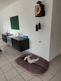 20210712_114534.jpeg