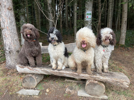 Spaziergang auf dem Tannenberg