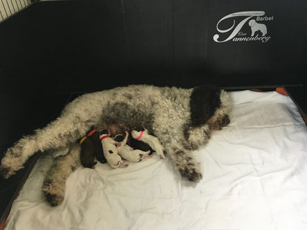 ❤️❤️❤️Wir sind da!!❤️❤️❤️