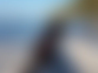 ❤️☀️Roxy vom Tannenberg☀️❤️