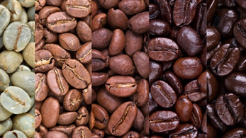 Beberapa Faktor Yang Mempengaruhi Kualitas Kopi