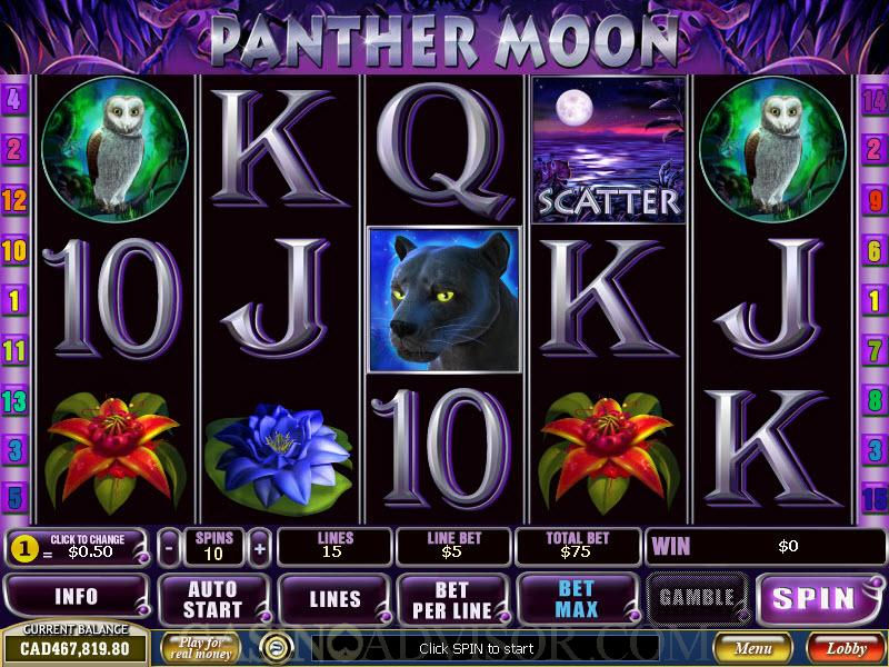 PANTHER MOON