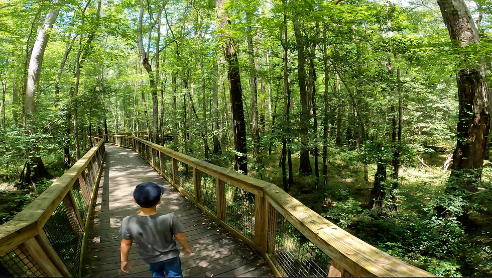 Congaree NP, SC