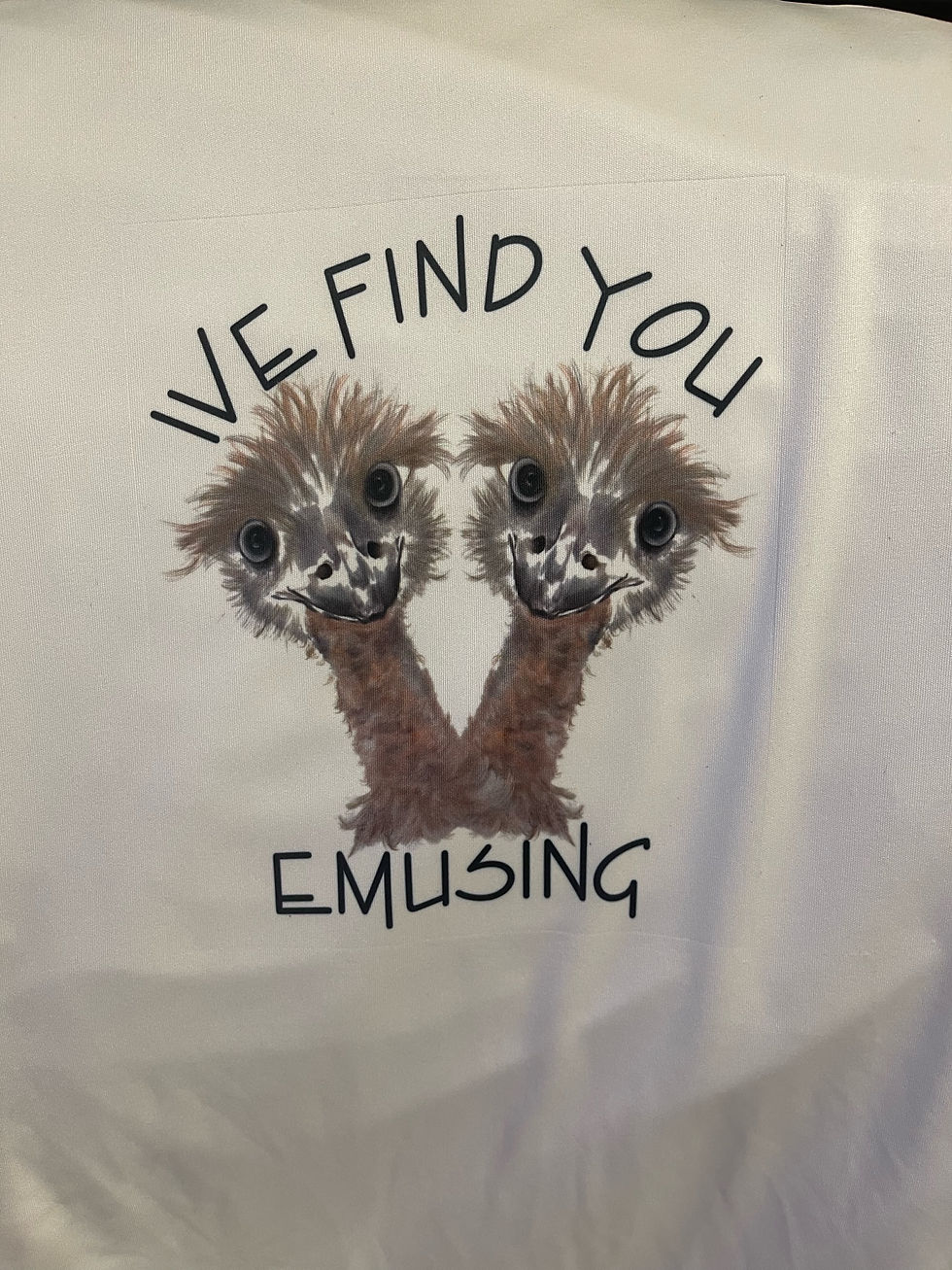 We Find You Emusing T-Shirt