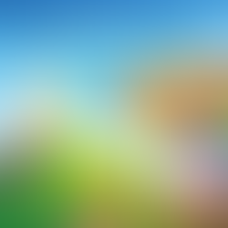 The Ride Was a Game. The Meaning Is Not.