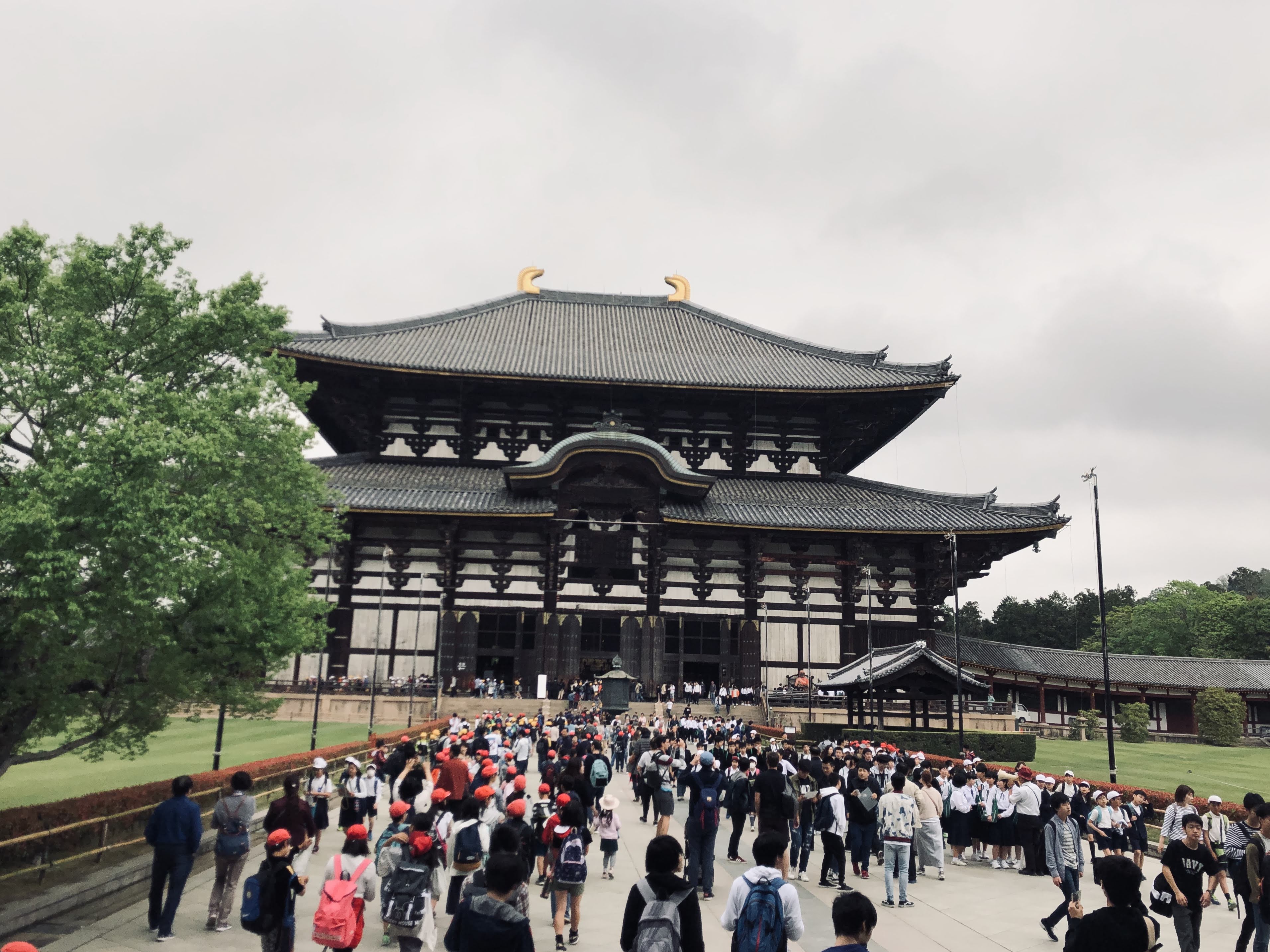 Best places to go in Japan