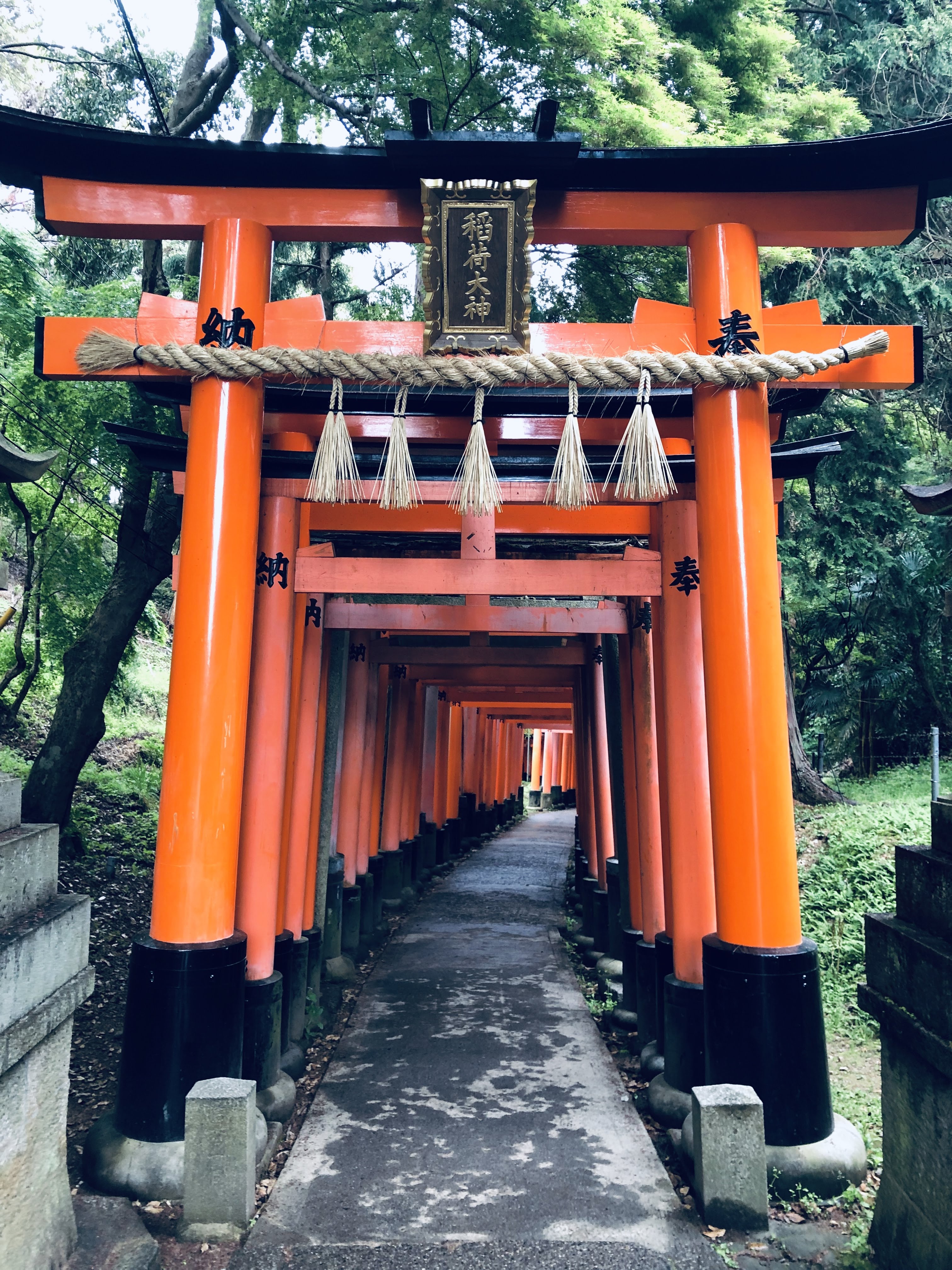 Best places to go in Japan