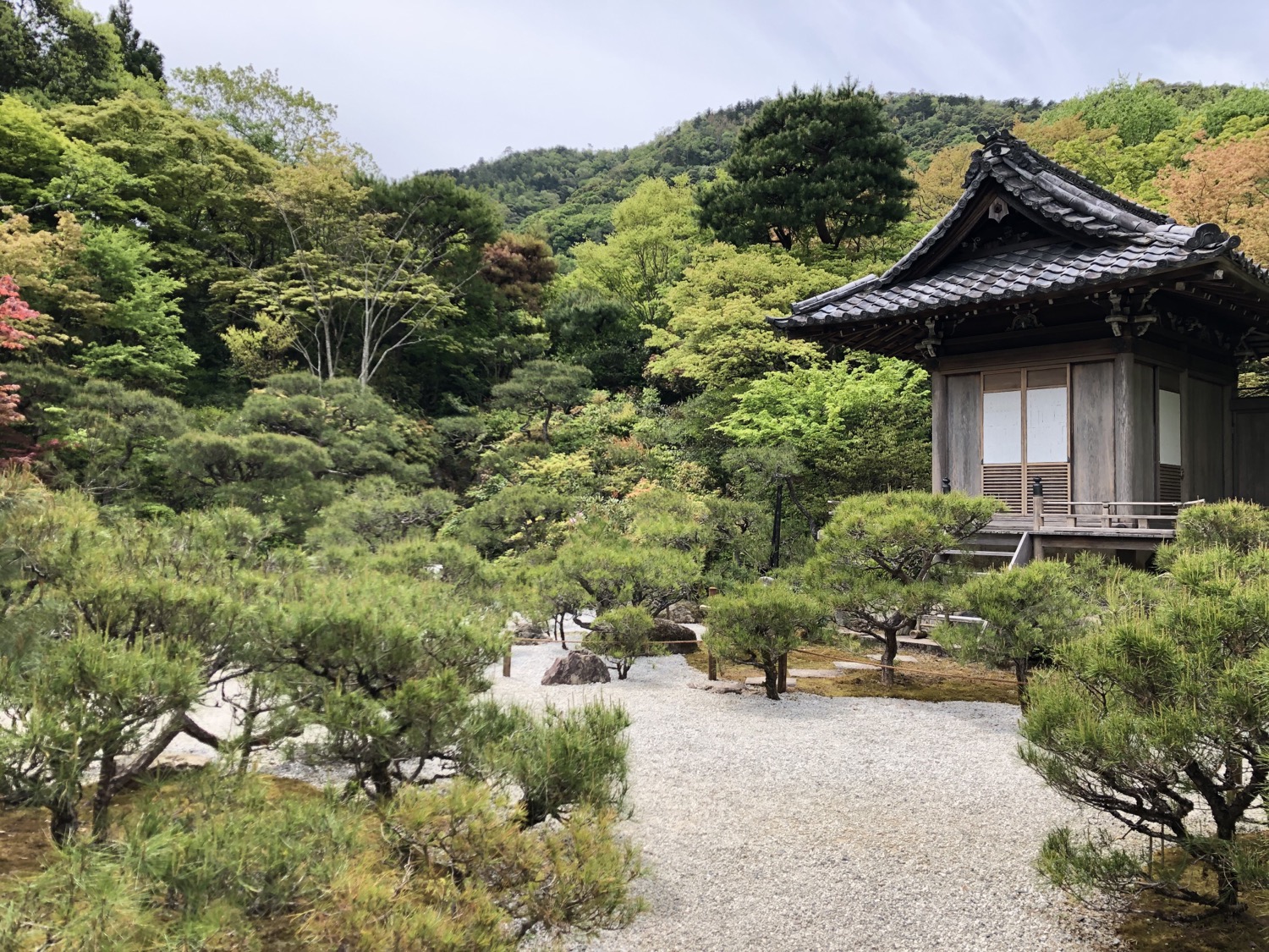 travel solo