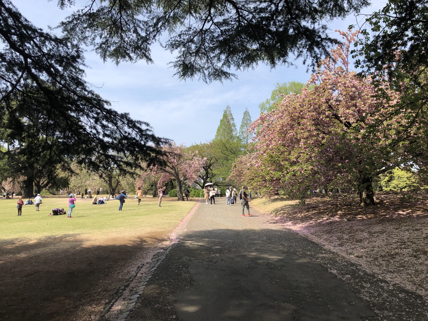 Best places to go in Japan