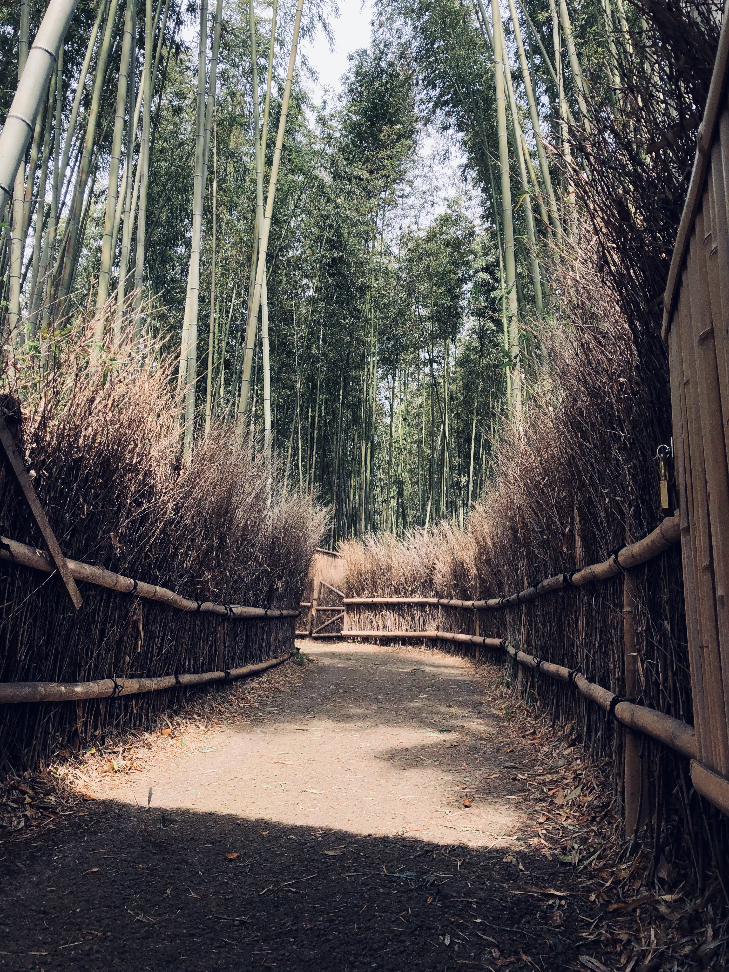 Inspiring travel stories
