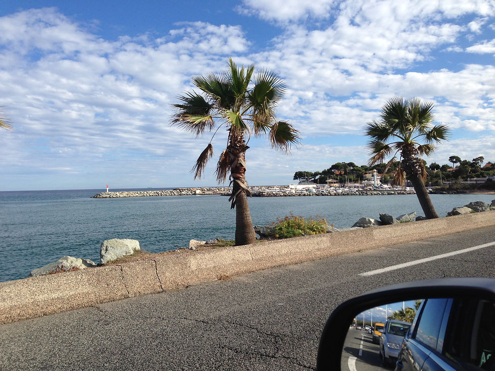 Roc d'Azur 2013