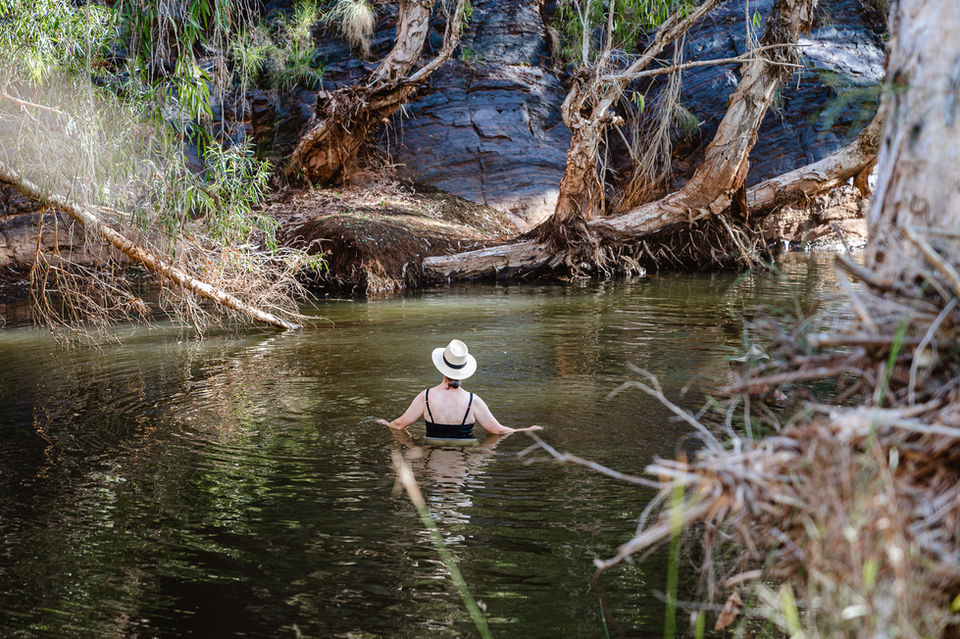Cheela Plains Station