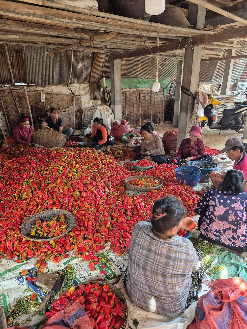 Comment faire le change de monnaie lorsque l'on se rend dans un pays hors Union Européenne ?
