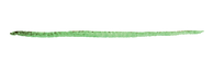 Green Paint Stroke