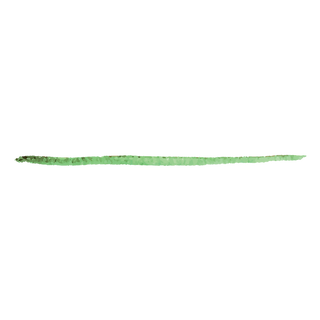Green Paint Stroke