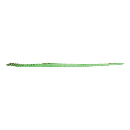 Trait de peinture verte