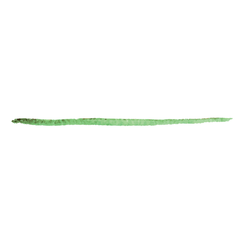 Trait de peinture verte