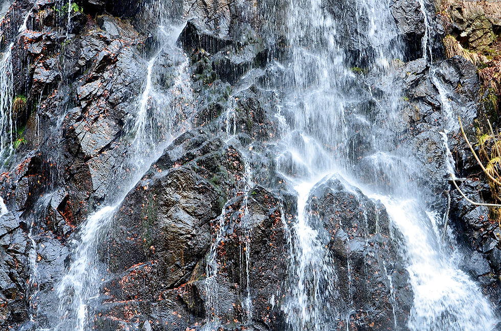 Schluß mit langweilig