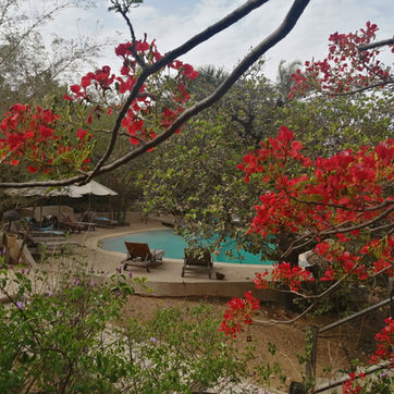 Getaway at the Sine Saloum Delta