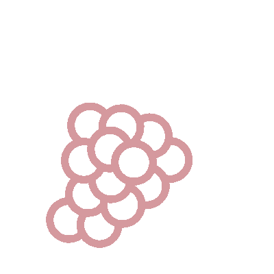 wired-outline-581-grape-hover-pinch (1).gif