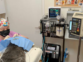 Trumpet's Milestone Enucleation Surgery