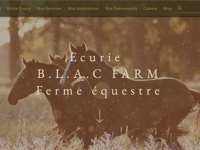 Site web BlacFarm