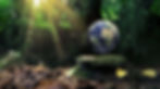 Lafrane Environnement