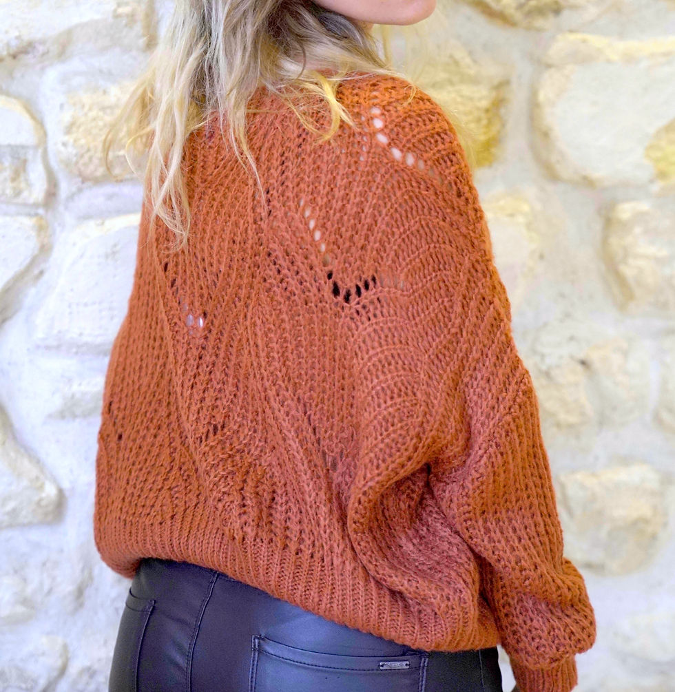 Miniature : Pull Ninon Terracotta