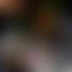 Ambiance Tulipes Noires, GIEN