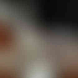 Ambiances assiettes canapées et mignardises, Chevaux du Vent, Gien