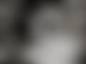 PORCELAINE OU FAÏENCE : QUELLES DIFFÉRENCES DANS LES ARTS DE LA TABLE ?