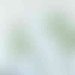 Vases Légende ambiance, Bernardaud