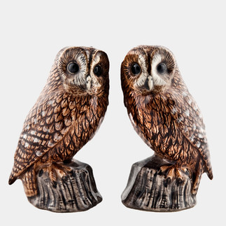 Sel et poivre chouettes, Quail