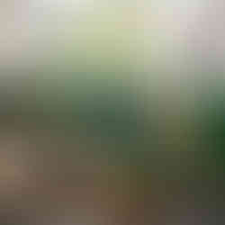 Vases métal, PIP Studio