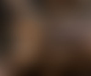 Cena Corporativa en RosaNegra Miami, Brickell