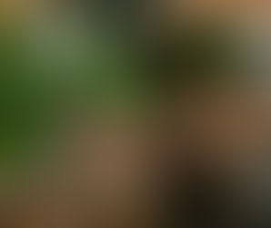 Brunch en Brickell, Miami