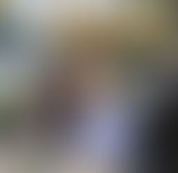 True Food Kitchen, Santa Monica