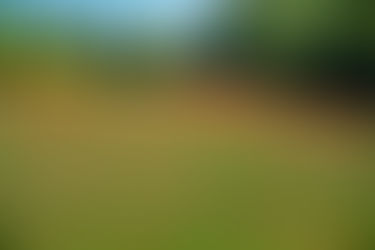 Italy 2019 - Lago de Garda