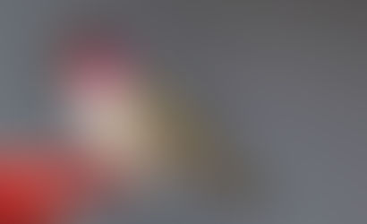 Sierra Hummingbirds - Thanksgiving 2018