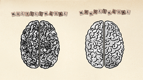 tumblr_nr8a93Nz3C1sjwwzso1_500.gif
